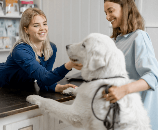 Careers at Painted Tree Veterinary Hospital
