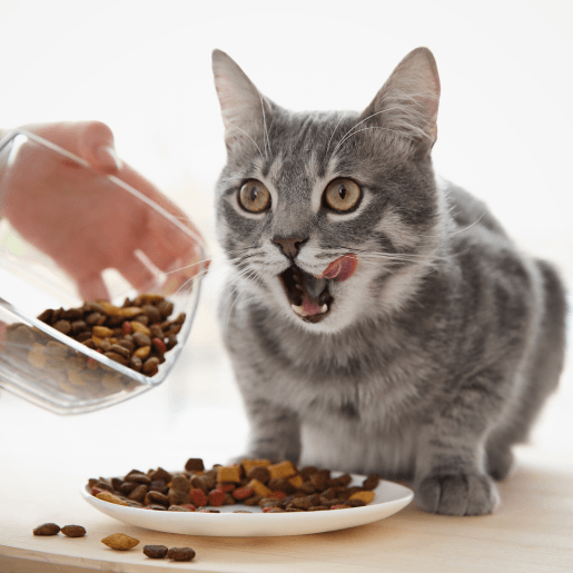 Nutritional Counseling