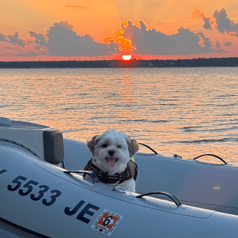 Ginger, Activities Director