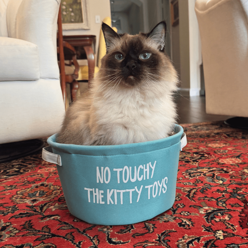 Mr. Butters, Operations Manager