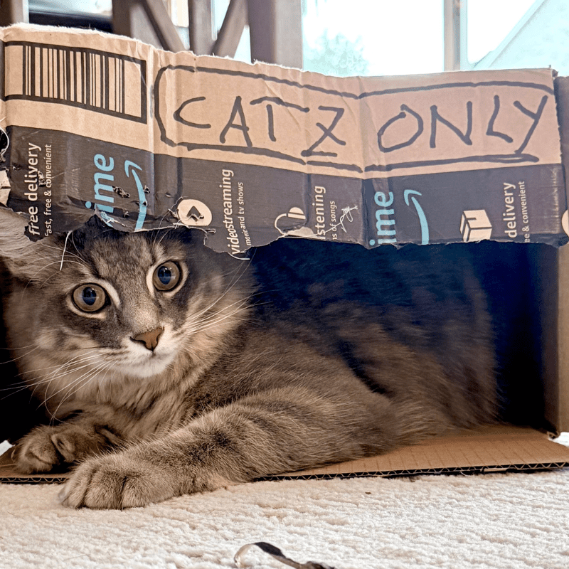 Bixby, Director of Information Technology